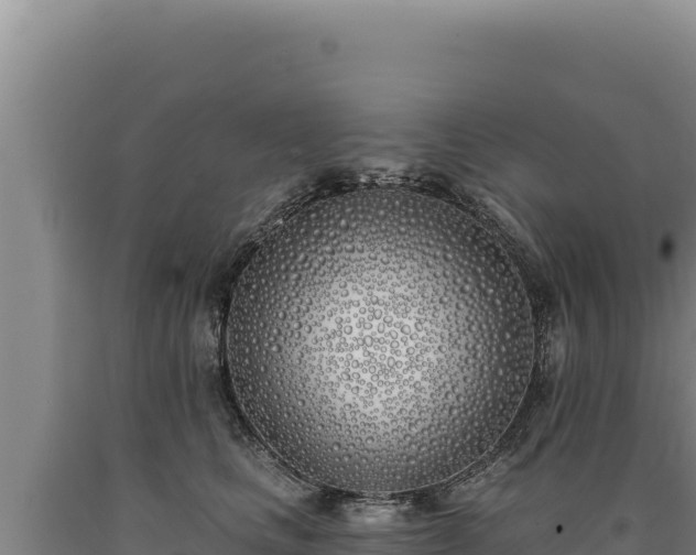 X0000090750661200707271446