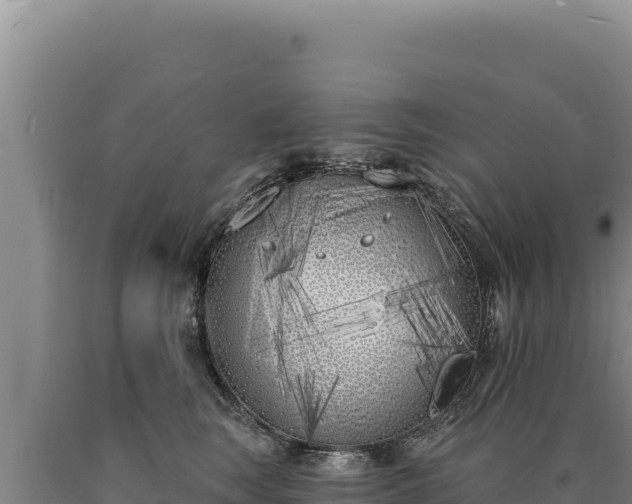 X0000090750663200707271446