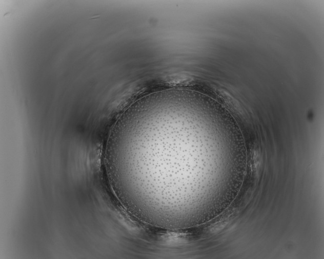 X0000090750664200707271446