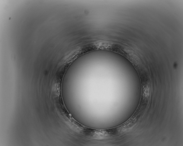 X0000090750666200707271446