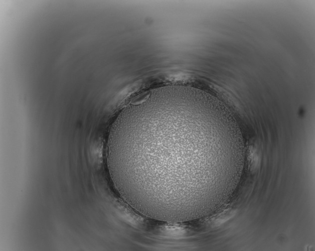 X0000090750668200707271446