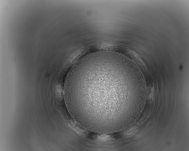 X0000090750669200707271446