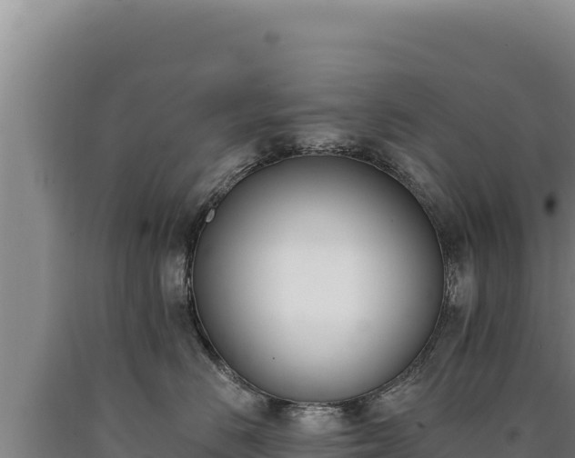 X0000090750670200707271446