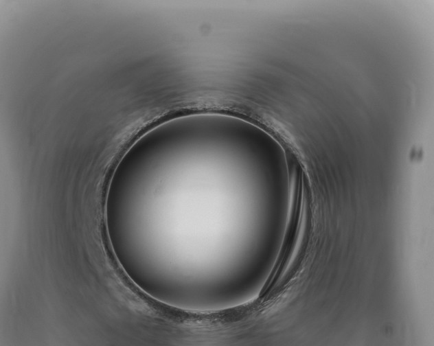 X0000090750673200707271446