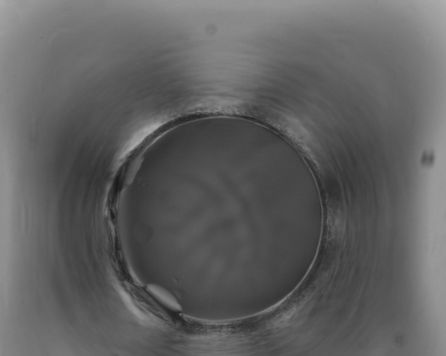 X0000090750674200707271446