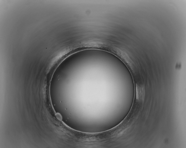 X0000090750675200707271446