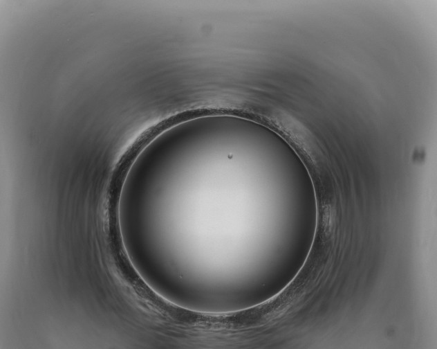 X0000090750676200707271446