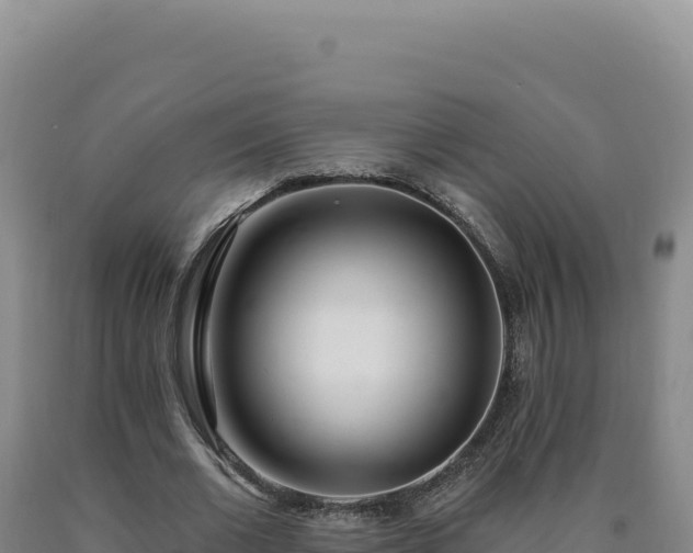 X0000090750677200707271446