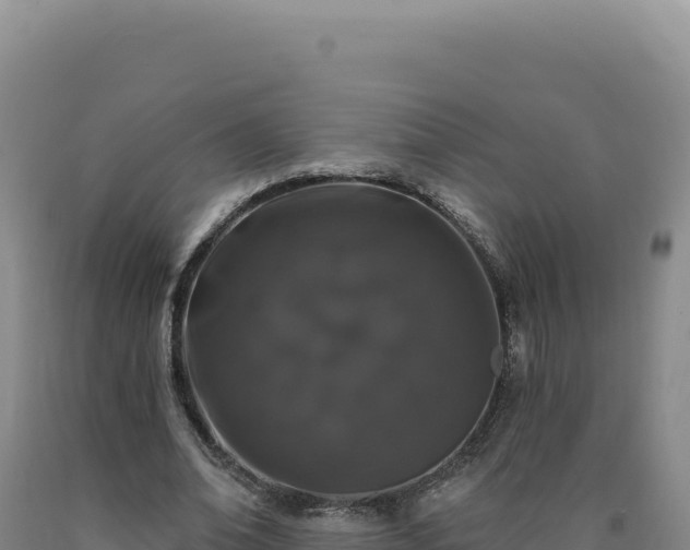 X0000090750678200707271446