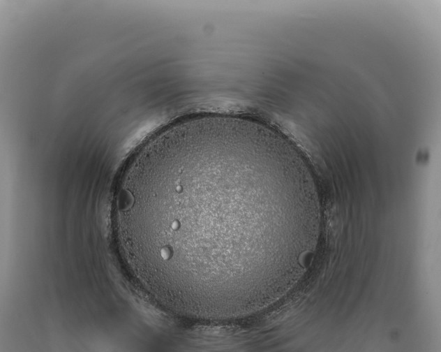 X0000090750679200707271446