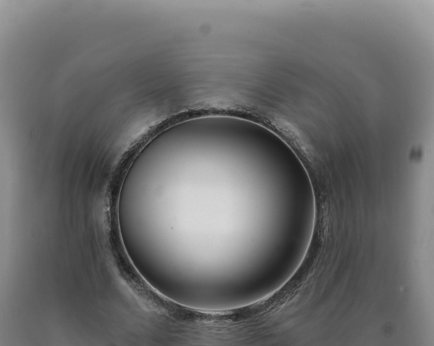 X0000090750680200707271446