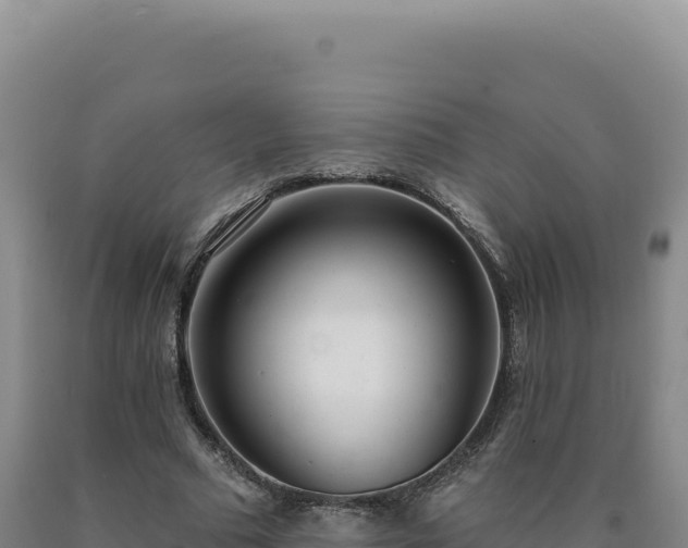 X0000090750681200707271446