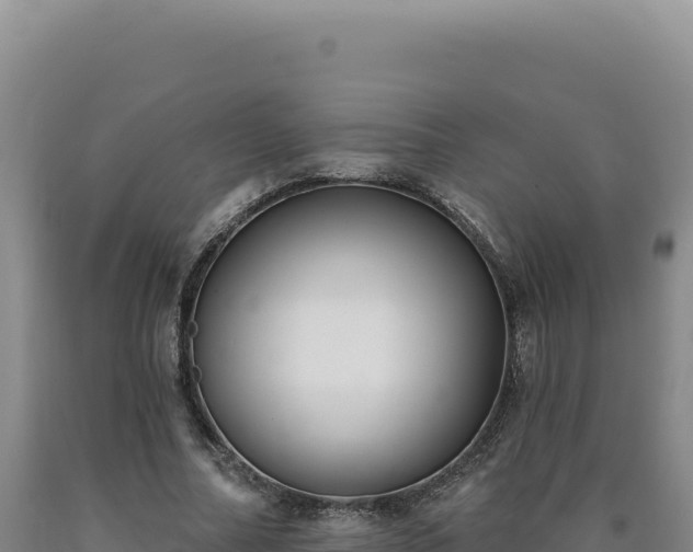 X0000090750682200707271445