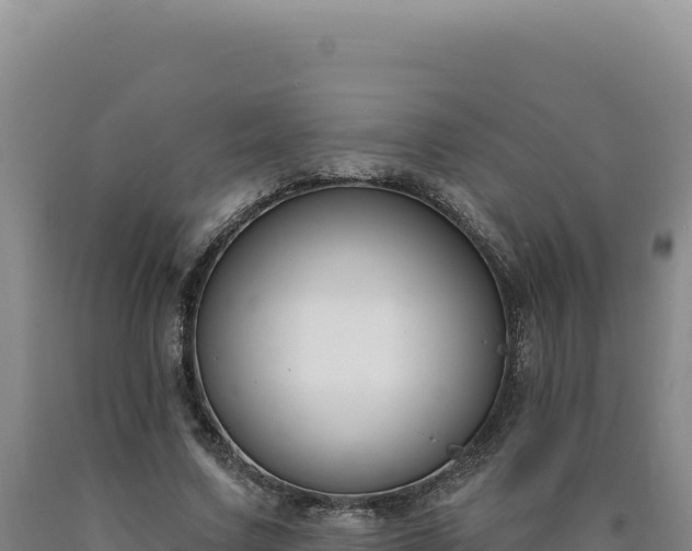 X0000090750683200707271445