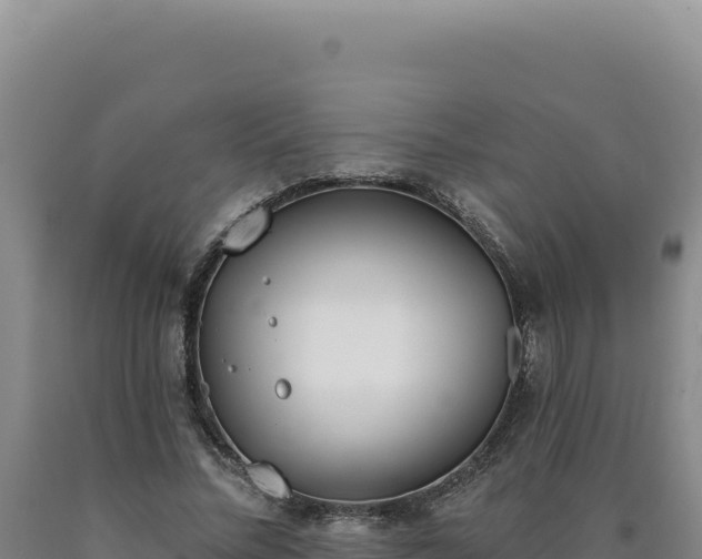 X0000090750684200707271445