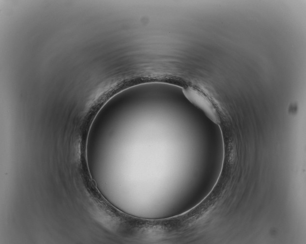 X0000090750685200707271445