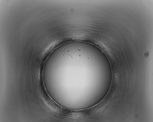 X0000090750686200707271445