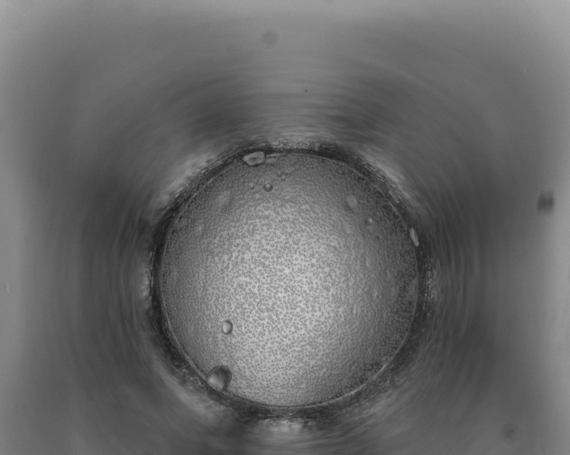 X0000090750687200707271445