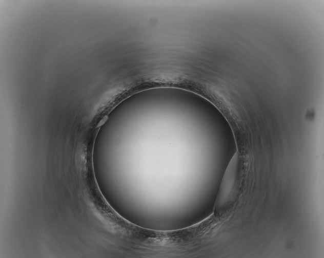 X0000090750688200707271445