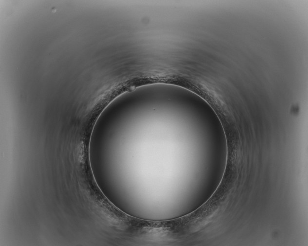 X0000090750689200707271445