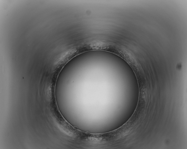 X0000090750690200707271445