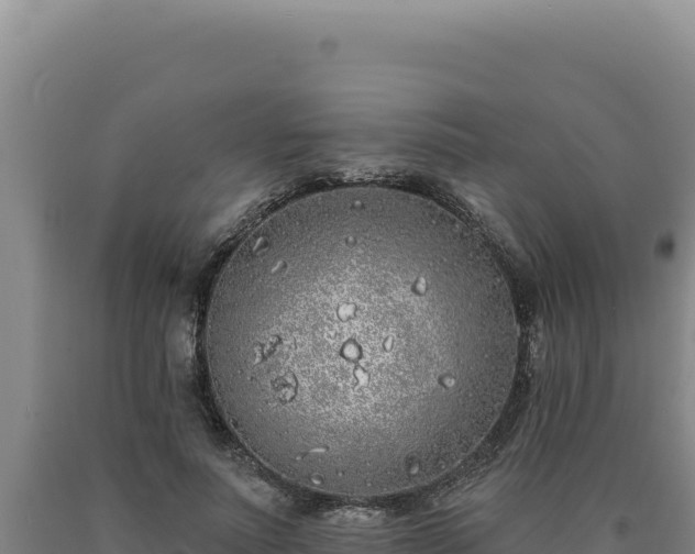 X0000090750691200707271445