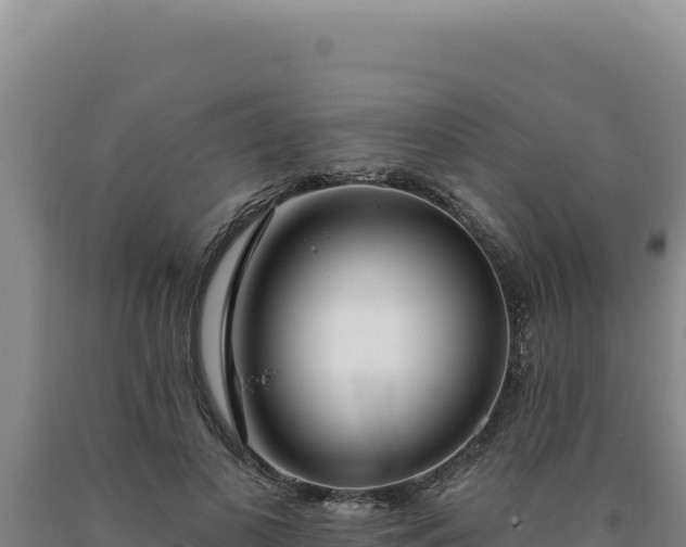 X0000090750693200707271445