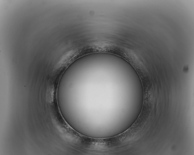 X0000090750694200707271445