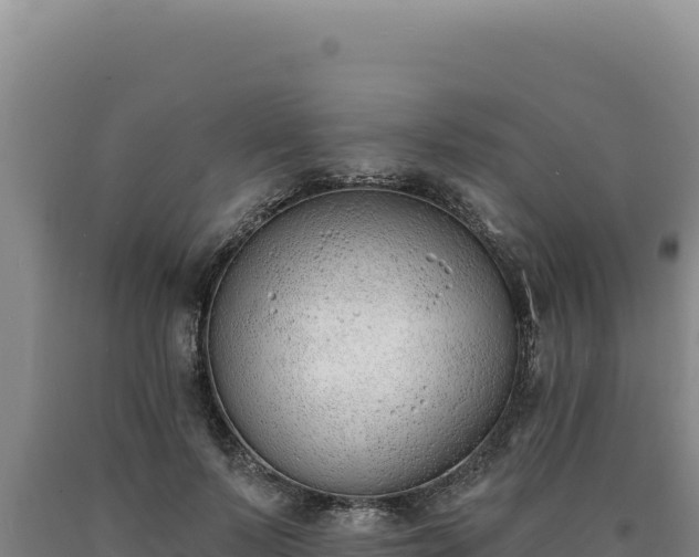 X0000090750695200707271445