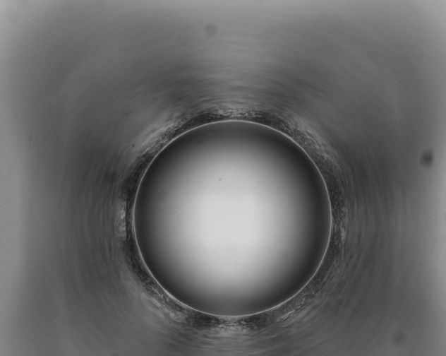 X0000090750696200707271445