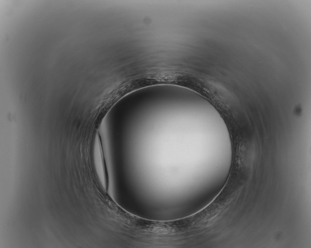 X0000090750697200707271445