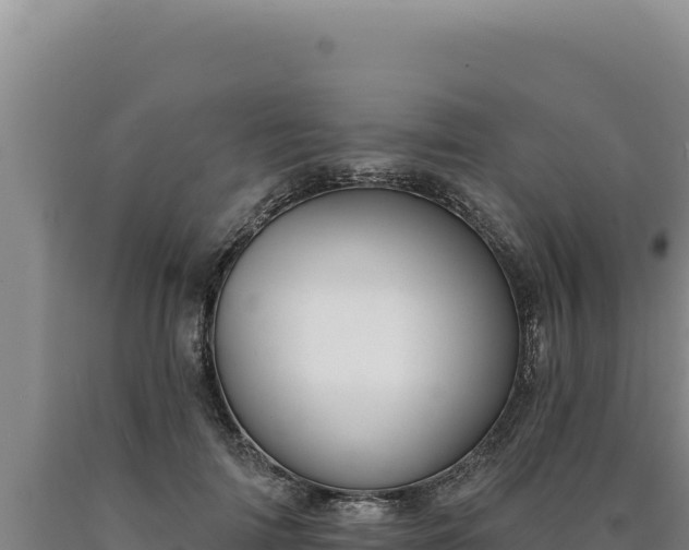 X0000090750698200707271445