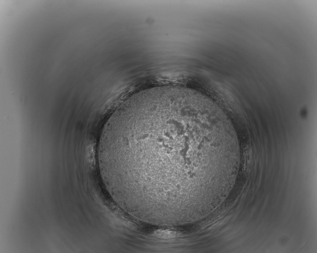 X0000090750699200707271445