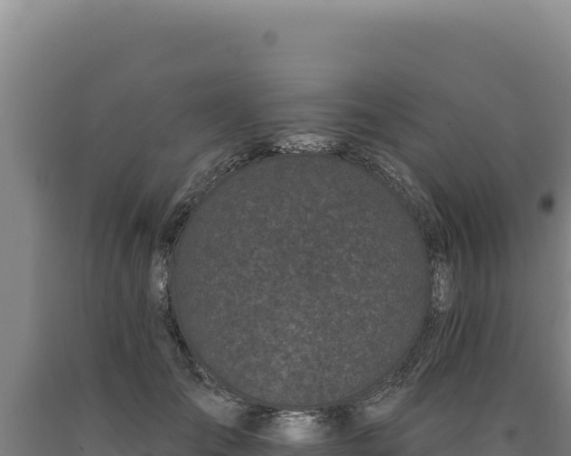 X0000090750701200707271445