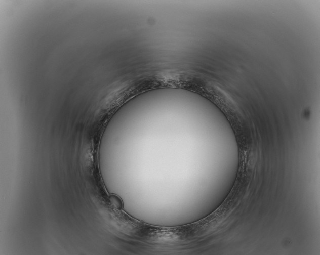 X0000090750702200707271445