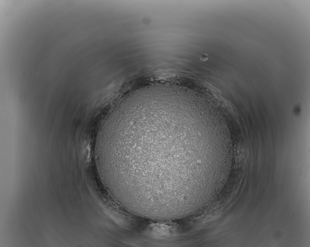 X0000090750703200707271445