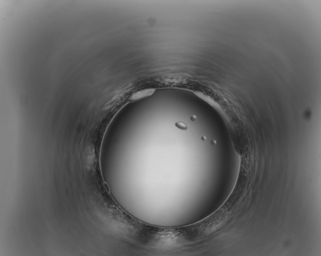 X0000090750704200707271445