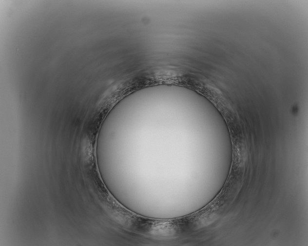 X0000090750705200707271445