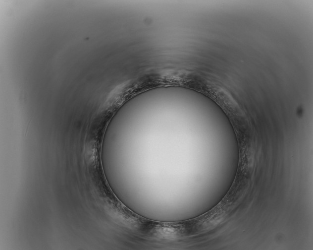 X0000090750706200707271445