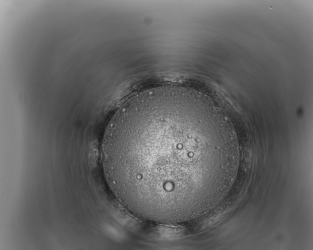 X0000090750707200707271445