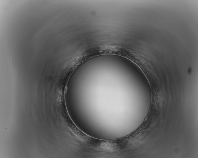 X0000090750708200707271445