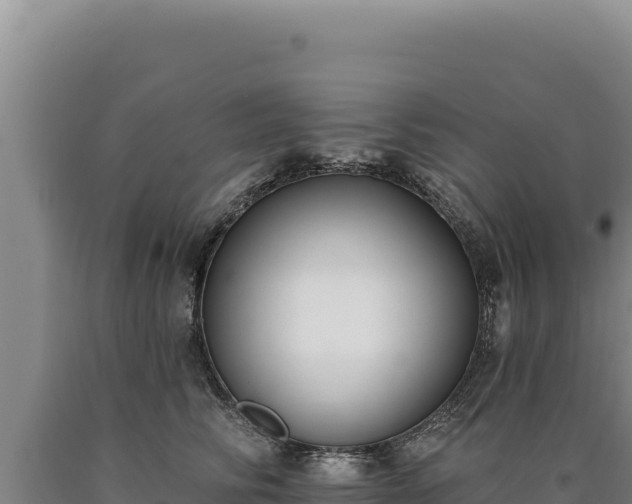 X0000090750710200707271445