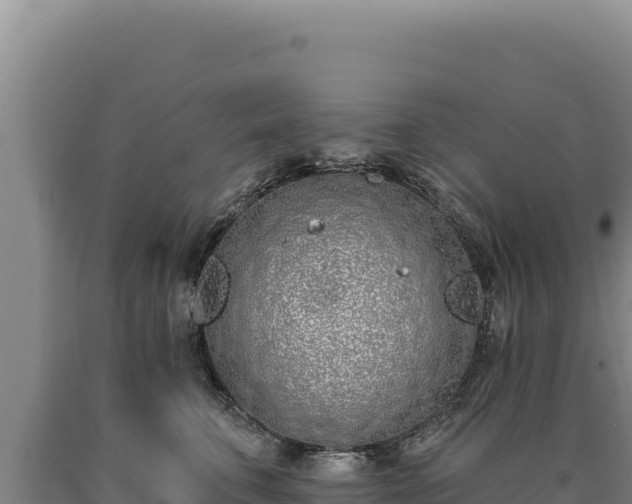 X0000090750711200707271445