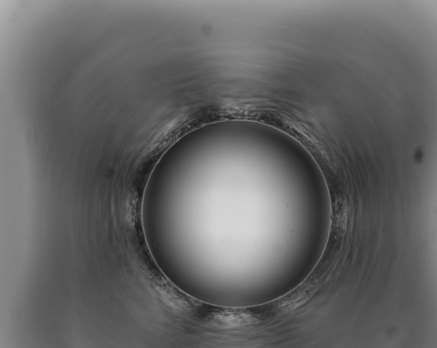 X0000090750712200707271445