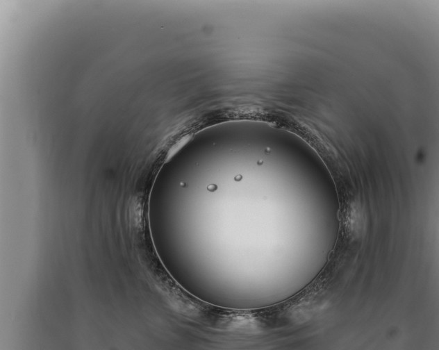 X0000090750715200707271445