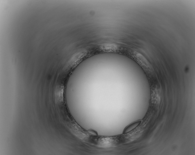 X0000090750717200707271445