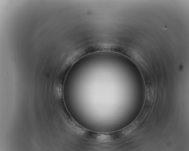 X0000090750718200707271445