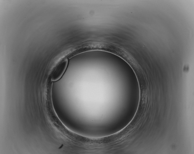 X0000090750722200707271444