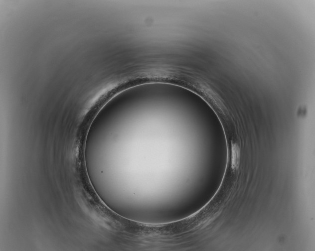 X0000090750723200707271444