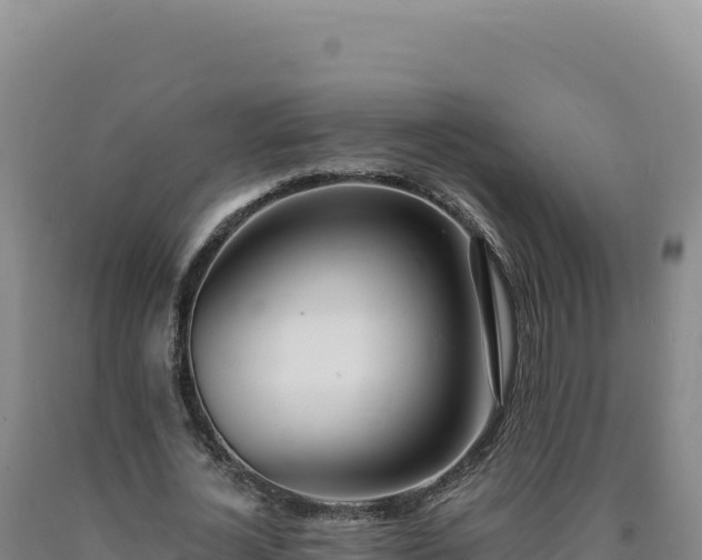 X0000090750724200707271444